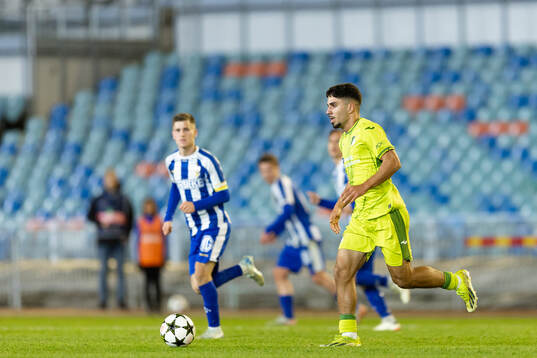 Diren Dagdeviren of Hoffenheim