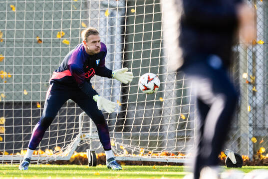 Goalkeeper Johan Dahlin