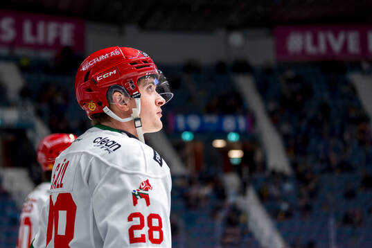 Moras Gabriel Säll