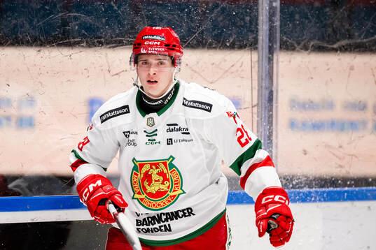 Moras Gabriel Säll