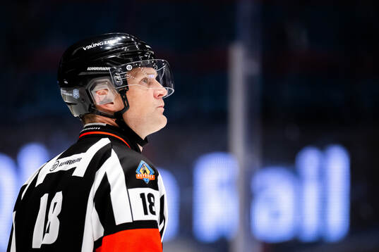 Domare Mikael Nord