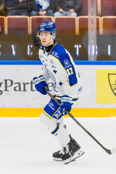 Leksands Dennis Altörn