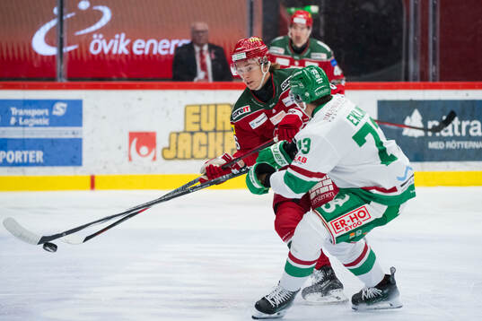 Modos Lukas Jasek