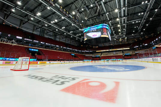 Monitor ERP Arena