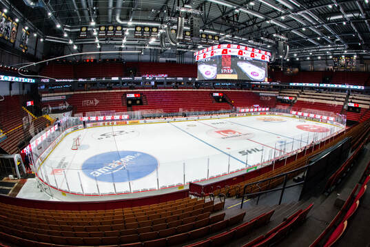 Monitor ERP Arena