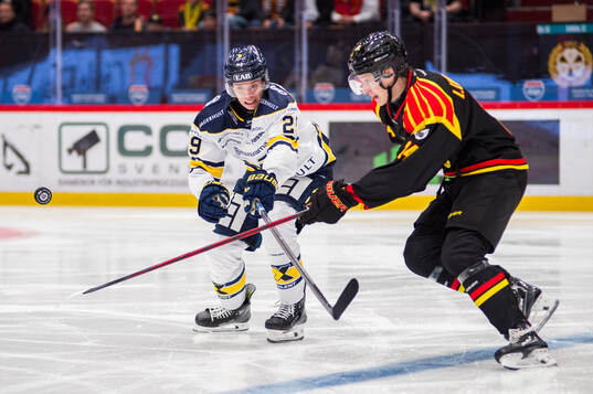 HV71s Wilhelm Hallquisth och Brynäs Linus Lindblom