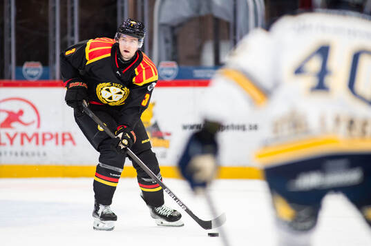 Brynäs Christian Djoos