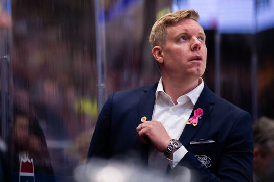 HV71s tränare Anton Blomqvist