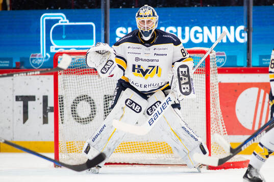 HV71s målvakt Frederik Dichow