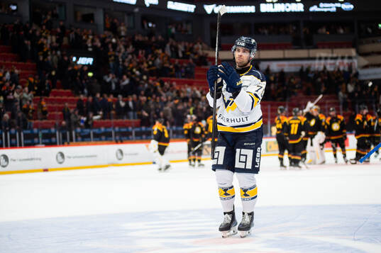 HV71s Radan Lenc deppar