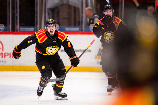 Bläddra bland fler bilder av Ishockey, SHL, Brynäs - HV71