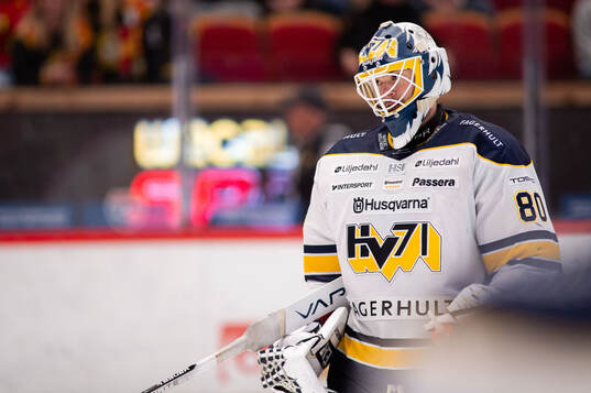 HV71s målvakt Frederik Dichow deppar