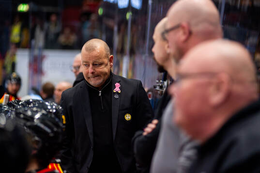 Brynäs tränare Niklas Gällstedt