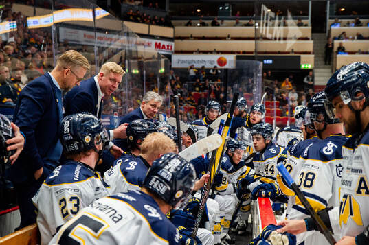 HV71s tränare Anton Blomqvist