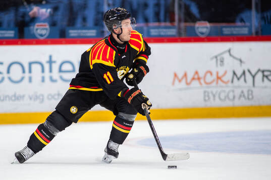 Brynäs Jordan Schroeder