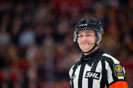 Domare Daniel Eriksson