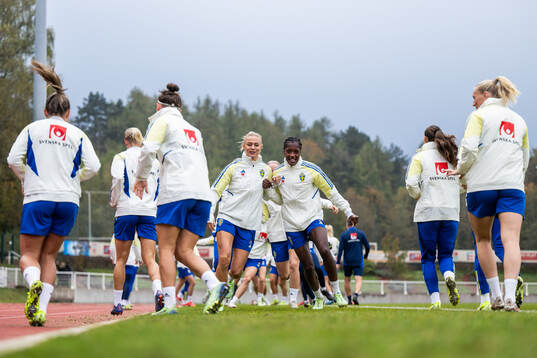 Fridolina Rolfö and Evelyn Ijeh of the Swedish women's
