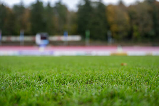 The grass of the pitch at Stade Emile Mayrisch