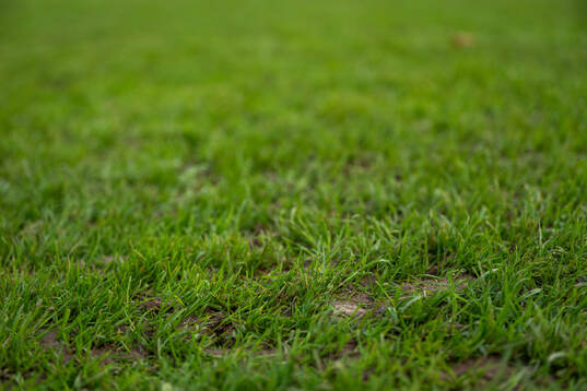 The grass of the pitch at Stade Emile Mayrisch