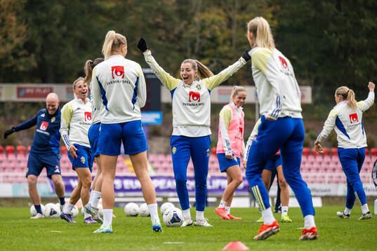Linda Sembrant of the Swedish women's national football