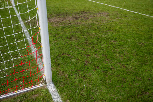 View of a goalkeeper area