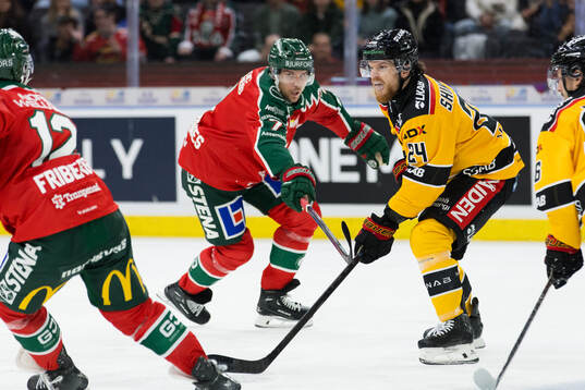 Luleås Brendan Shinnimin