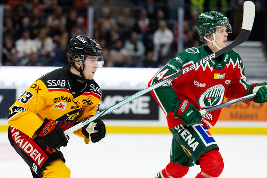 Luleås Jesper Sellgren