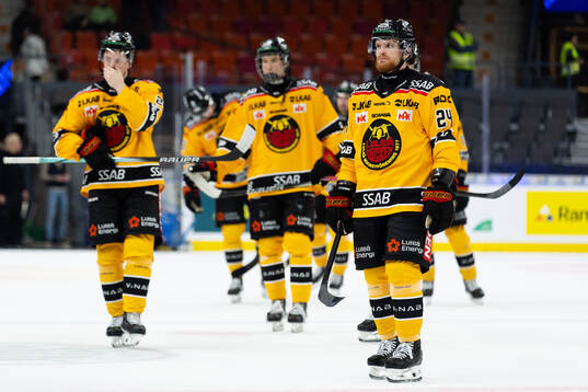 Luleås Brendan Shinnimin deppar