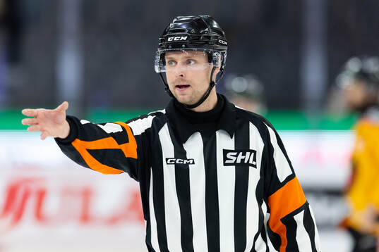 Domare Robin Forslund
