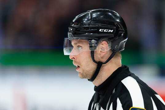 Domare Robin Forslund