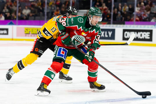 Frölundas Mikael Ruohomaa