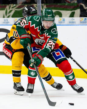 Luleås Einar Emanuelsson och Frölundas Arttu Ruotsalainen