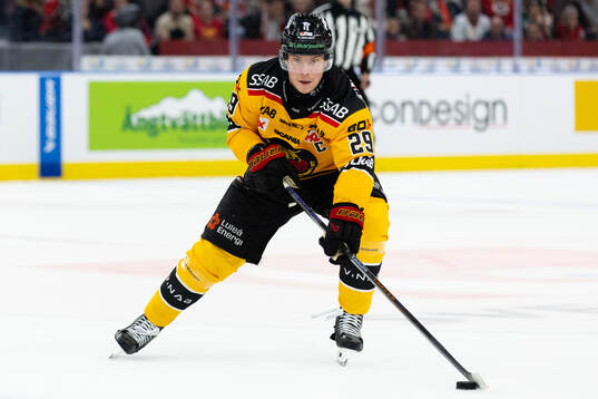 Luleås Erik Gustafsson