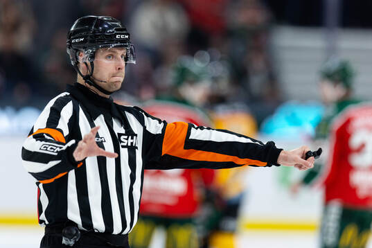 Domare Robin Forslund