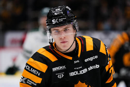 Skellefteås Michael Brandsegg-Nygård