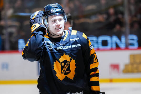 Skellefteås Michael Brandsegg-Nygård jublar