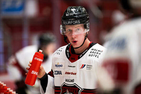 Malmö Redhawks Otto Stenberg