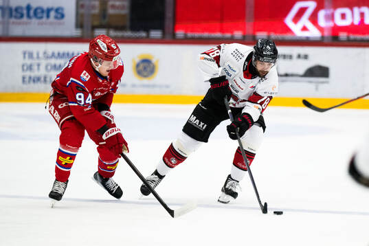 Malmö Redhawks Robin Hanzl och Timrås Sebastian Hartmann