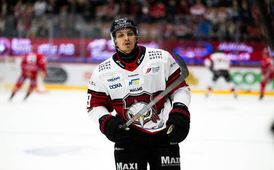 Malmö Redhawks Jakub Galvas