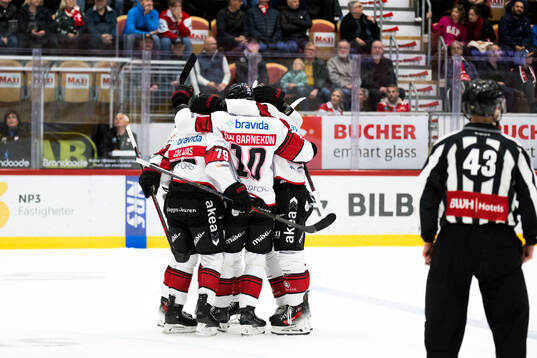 Malmö Redhawks Jakub Galvas