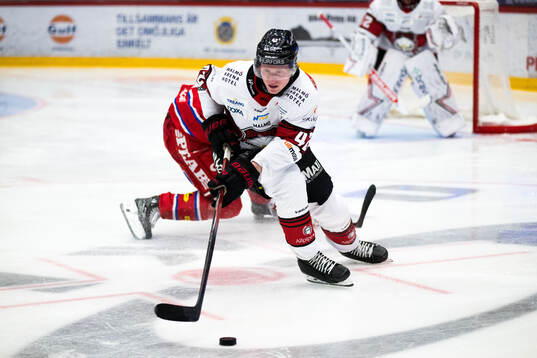Malmö Redhawks Robin Salo