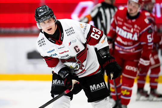 Malmö Redhawks Fredrik Händemark