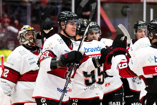 Malmö Redhawks spelare jublar
