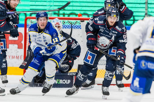 Leksands Lukas Vejdemo och Linköpings Markus Ljungh