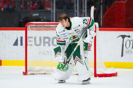 Rögles målvakt Arvid Holm