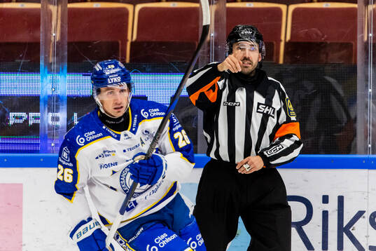 Domare Mattias Enroth