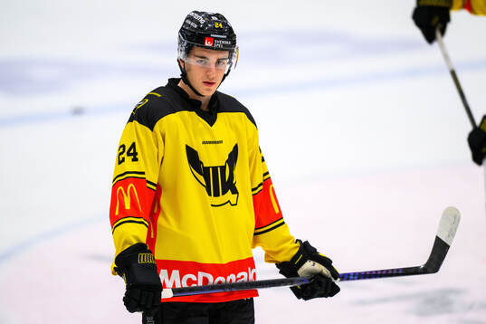 Västerås Joel Kant