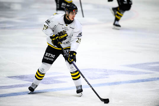 AIKs Daniel Ljungman