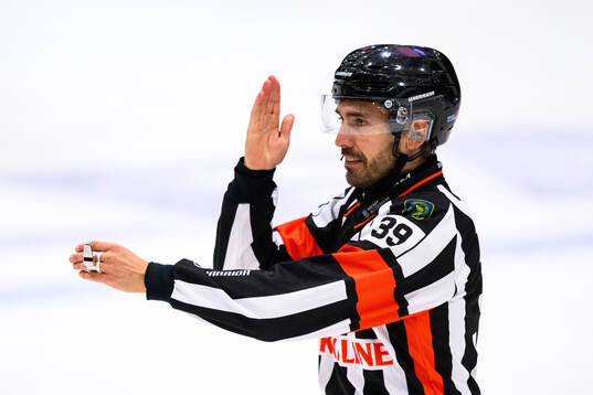 Domare Mattias Enroth