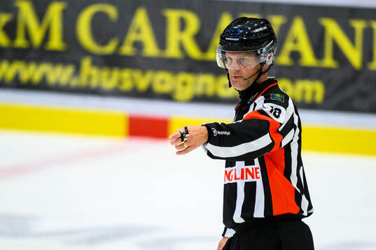 Domare Mikael Nord